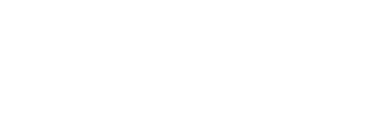 Bring Bag logo